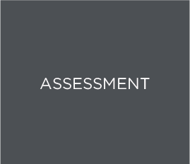 Pichler Hrsolutions Kompetenz Assessment